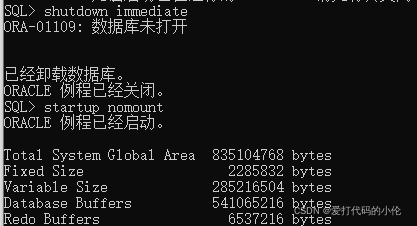 ORA-01299错误导致数据库版本不匹配，远程协助解决故障过程分享