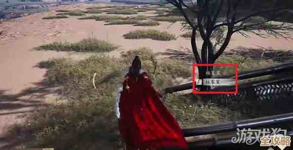 玩燕云十六声青冢无名任务时的懒人路线和坑点提醒.