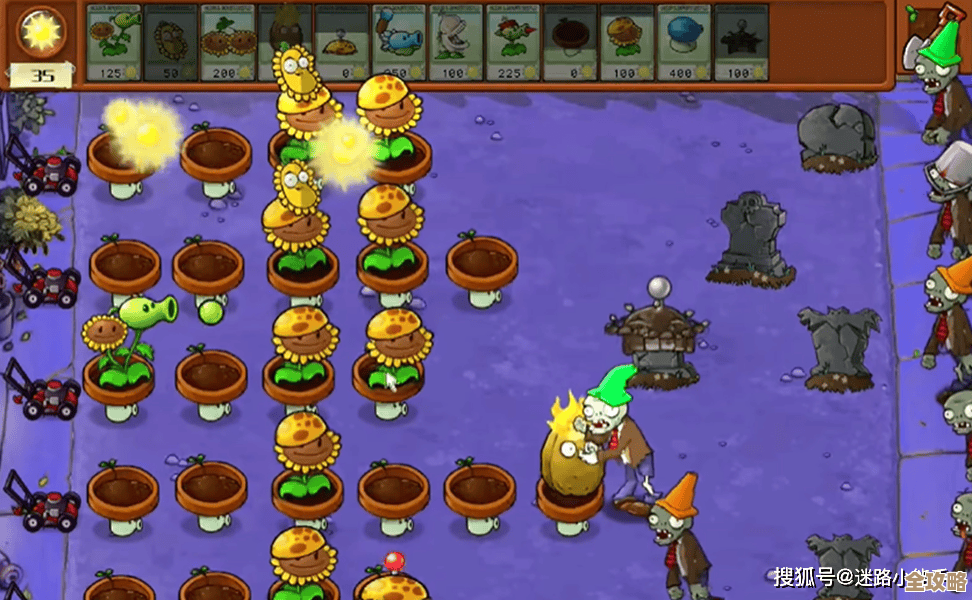 植物大战僵尸杂交版前院告急第7关实用走位和技能忘带别慌