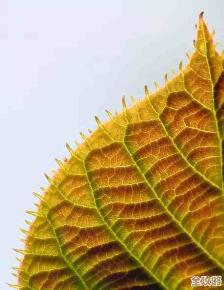 平安树叶背后的云数据库那些开发细节和实际应用经验分享 平安树叶背后的云数据库那些开发细节和实际应用经验分享