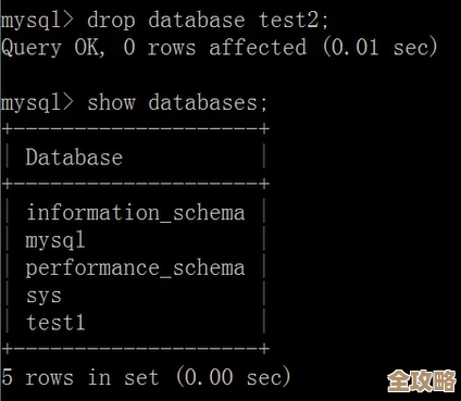 数据库论文的总结和分析，带着具体案例一步步讲清楚内容和重点
