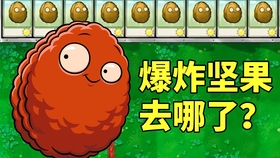 别一上来就满级甜菜护卫,植物大战僵尸2里这些局限你得知道 别一上来就满级甜菜护卫,植物大战僵尸2里这些局限你得知道