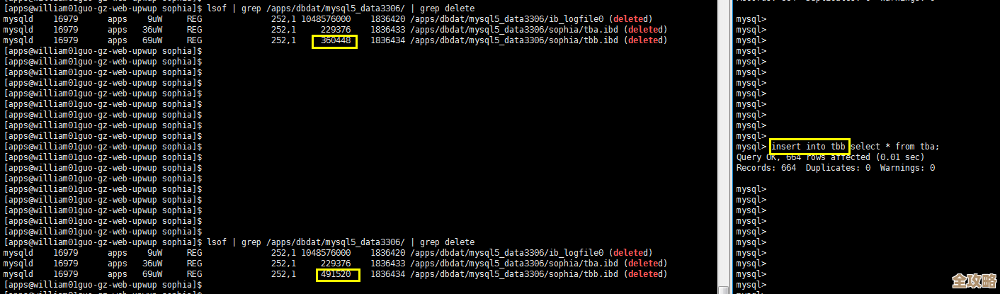MySQL报错MY-011122,字符集加载失败,远程帮你快速修复问题 MySQL报错MY-011122,字符集加载失败,远程帮你快速修复问题