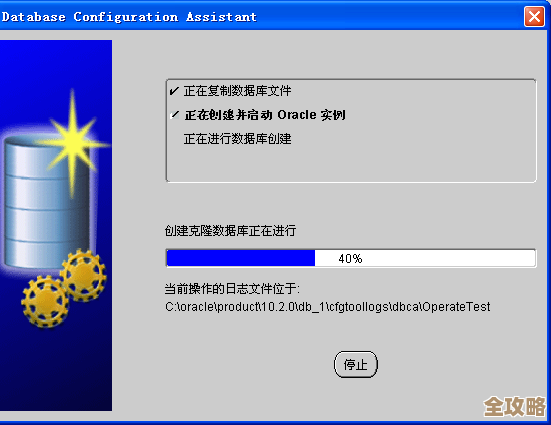 说实话，Oracle数据库的数据格式那些东西，搞懂了数据管理才能更顺畅点
