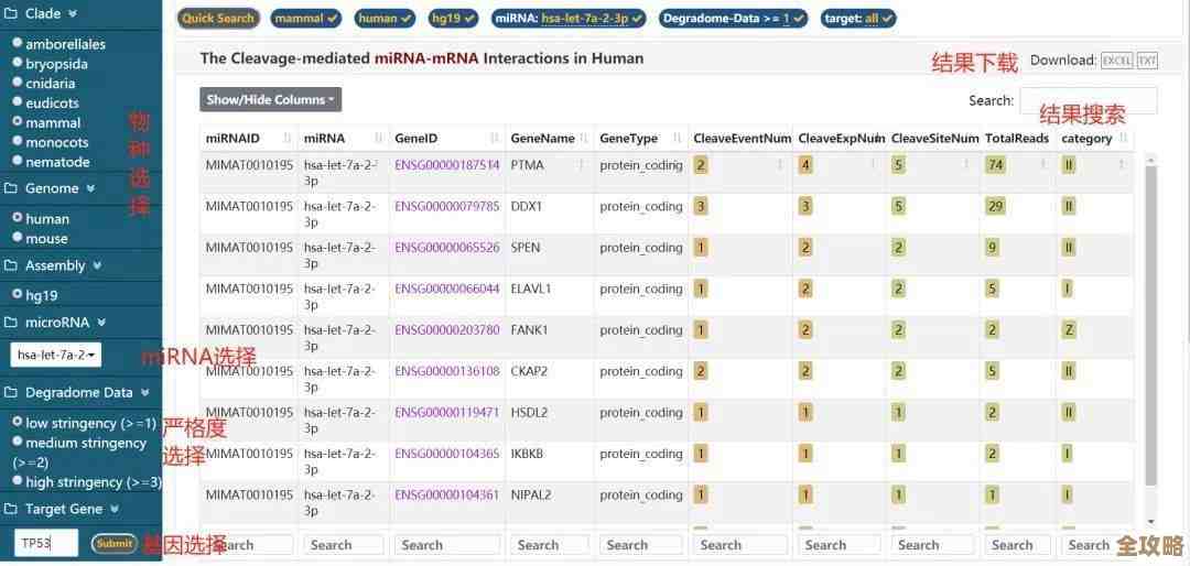 R语言老是连不上数据库，咋整才能顺利连接上呢？