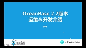树叶云带你简单聊聊OceanBase，重点说说它的修改历史那些事儿