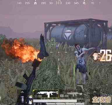 和平精英五人模式怎么打？队伍配合与落地路线那些实用玩法攻略