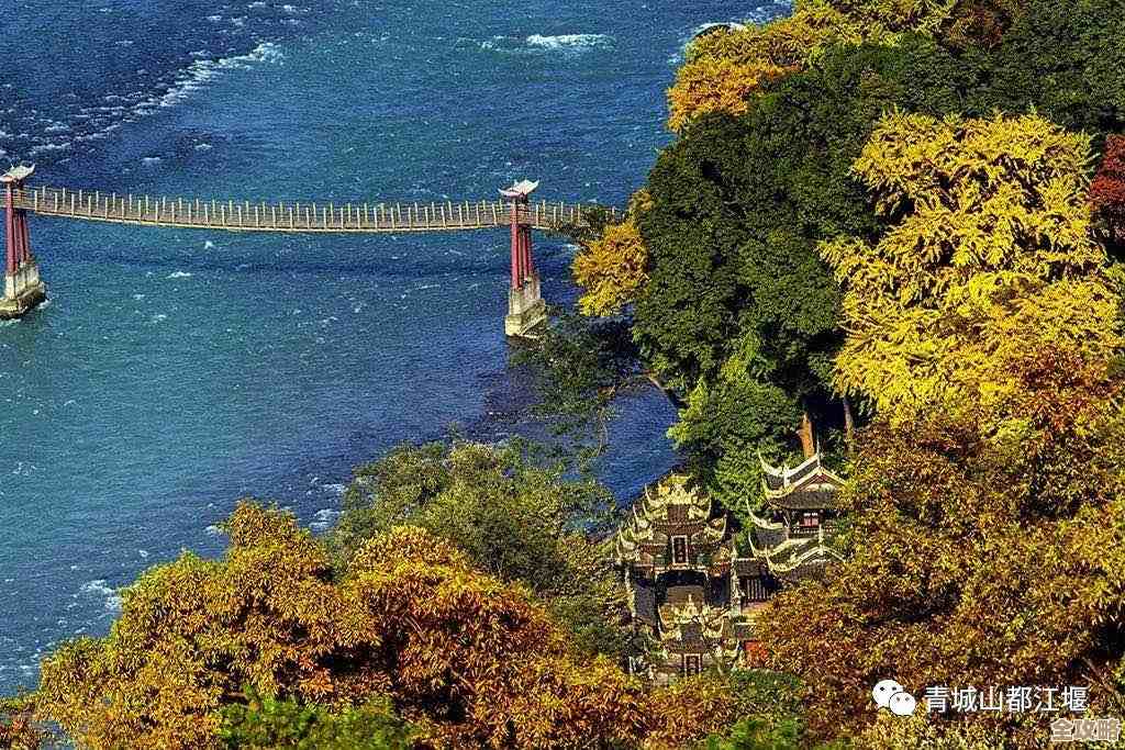 秀动里怎么快速添加观演人，步骤好像就这几条，别复杂