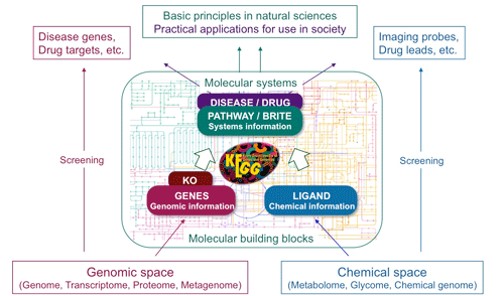 数据库系统到底有哪些分类,简单说说各种类型和特点吧 数据库系统到底有哪些分类,简单说说各种类型和特点吧