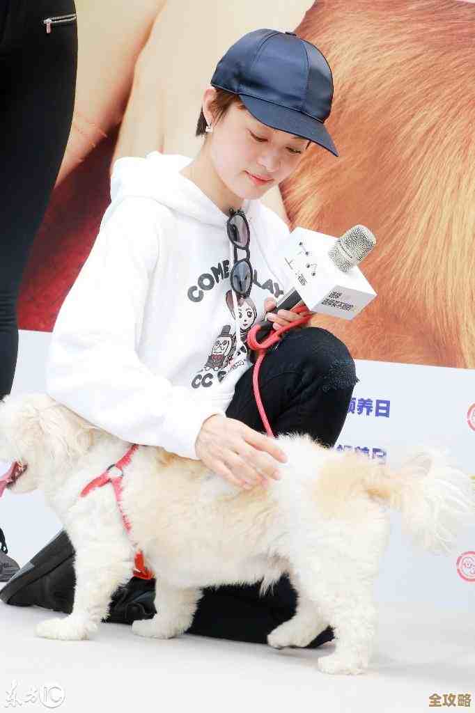 玩无限暖暖找衬衫毛团位置和购买方法随手记