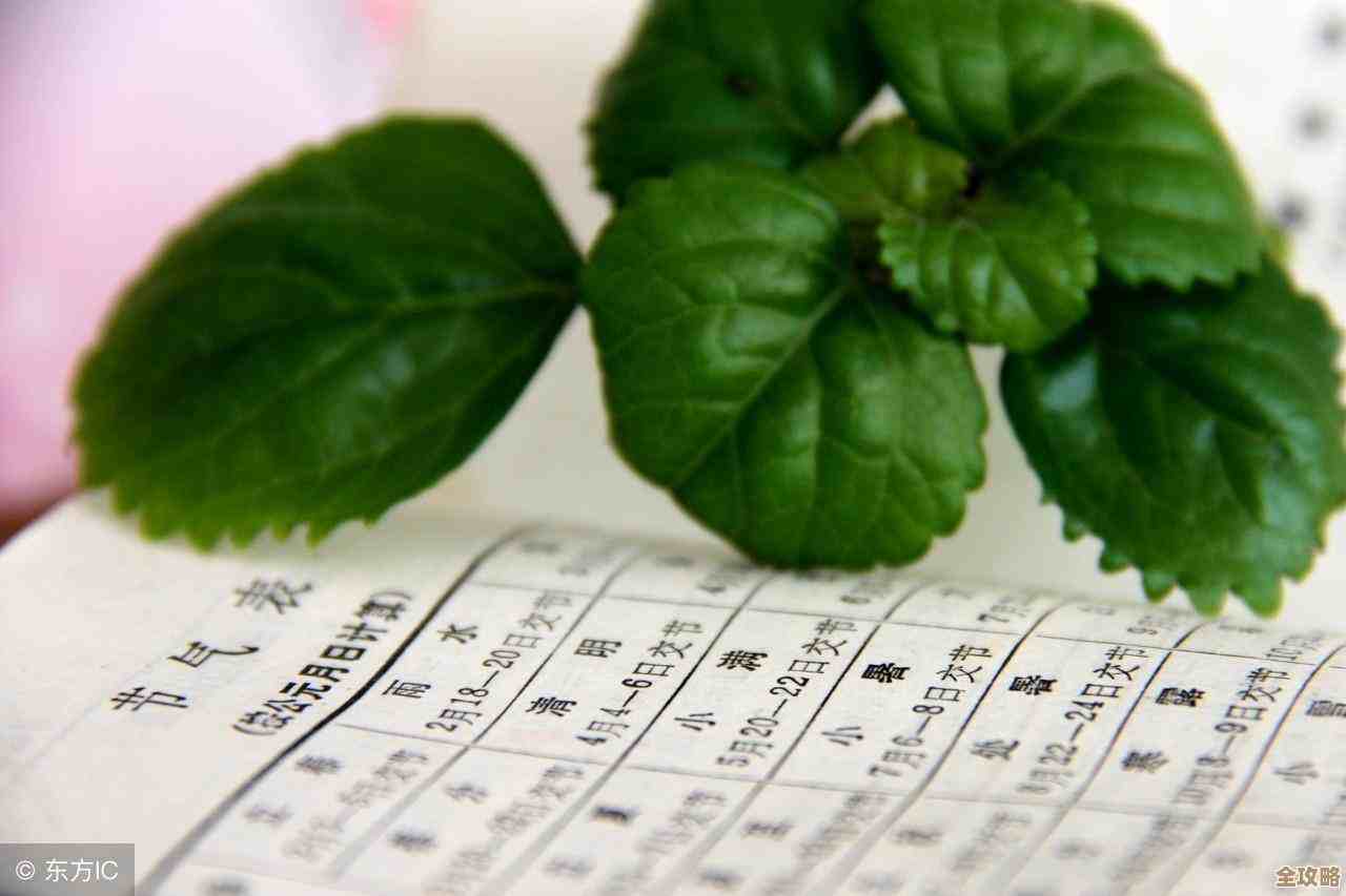 和平精英巳巳如意皮肤怎么拿，活动、抽奖、碎片都看这儿…