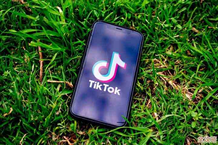 表单数据库查询那些事儿，怎么才能又快又准地找到想要的数据呢？