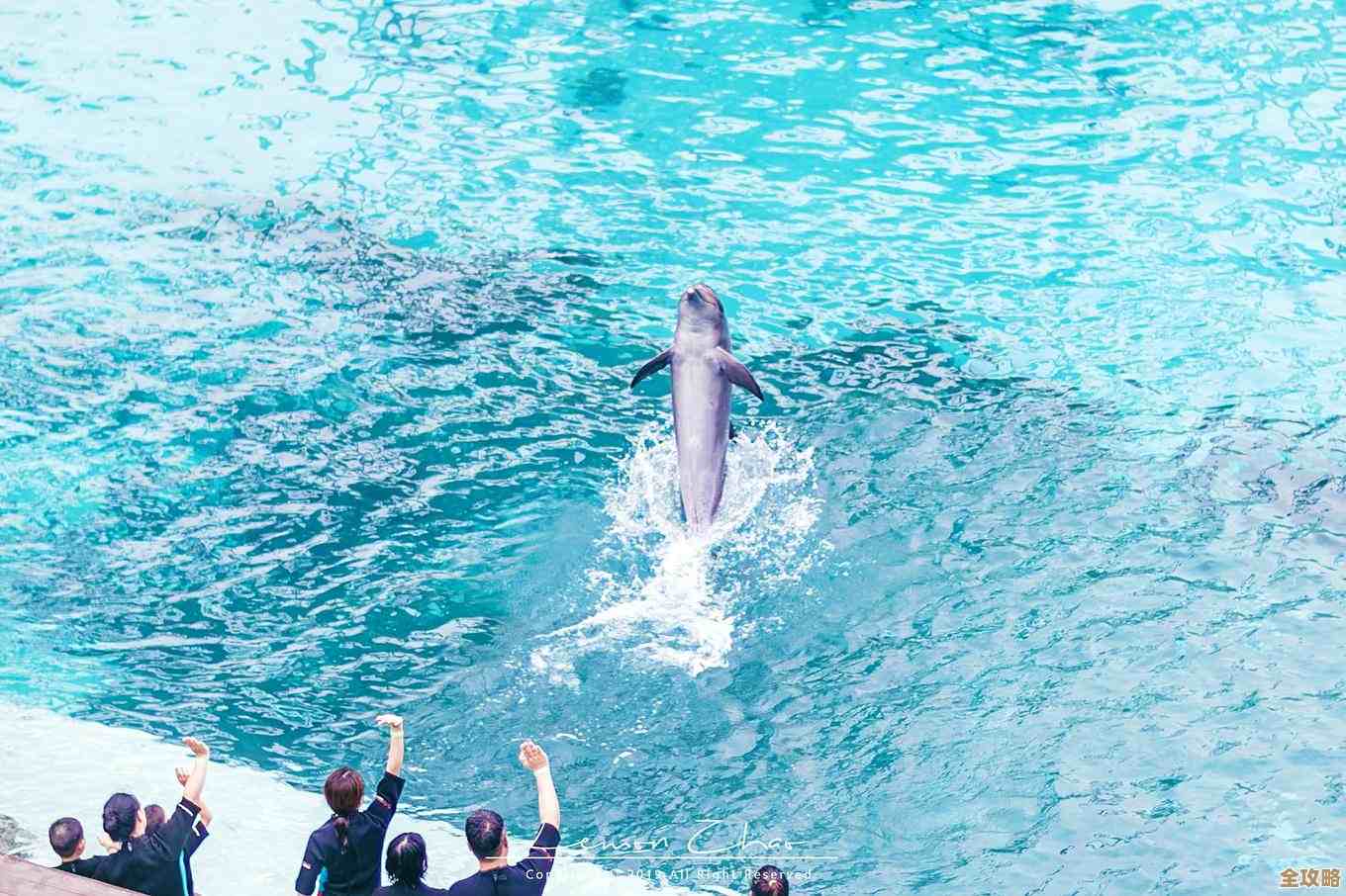 过山车之星2的新入口玩法简直让游客排队也不无聊…