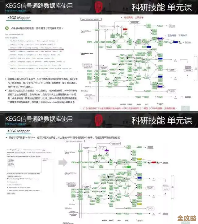 Geo数据库里那个Count数到底怎么影响后续数据分析结果的探讨