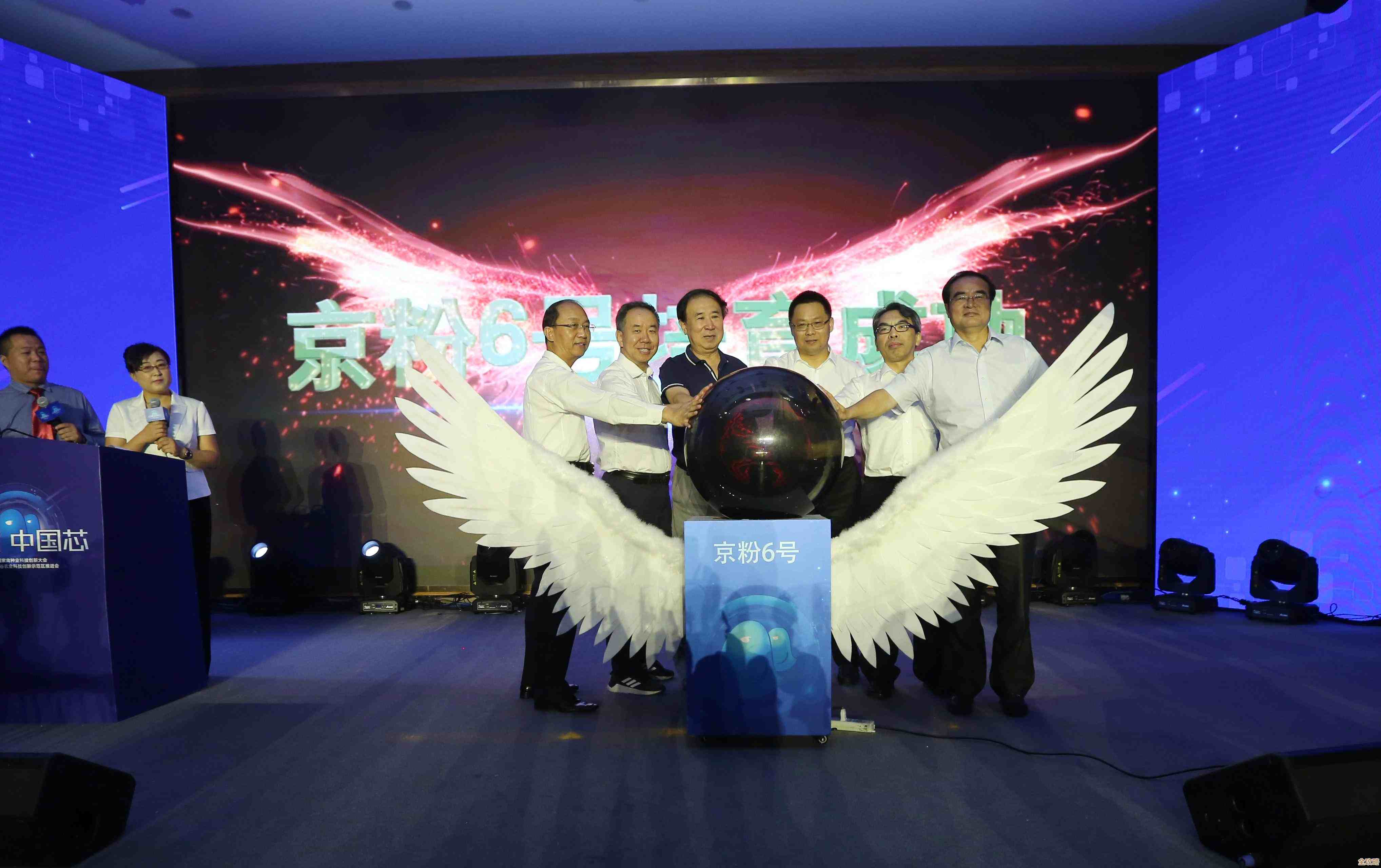 想找专门为你量身打造的数据库软件？这里可能有你需要的方案和建议