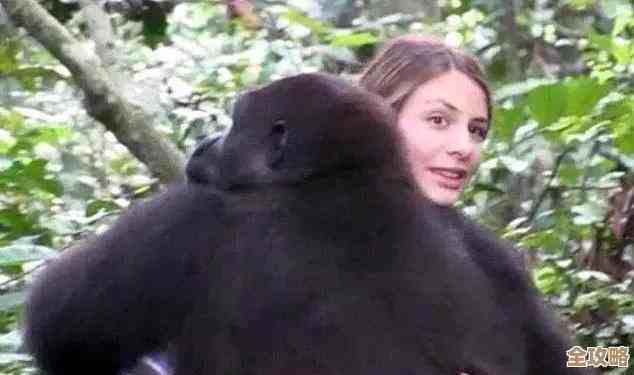 植物大战僵尸杂交版挑战模式第64关，省钱速通小思路…