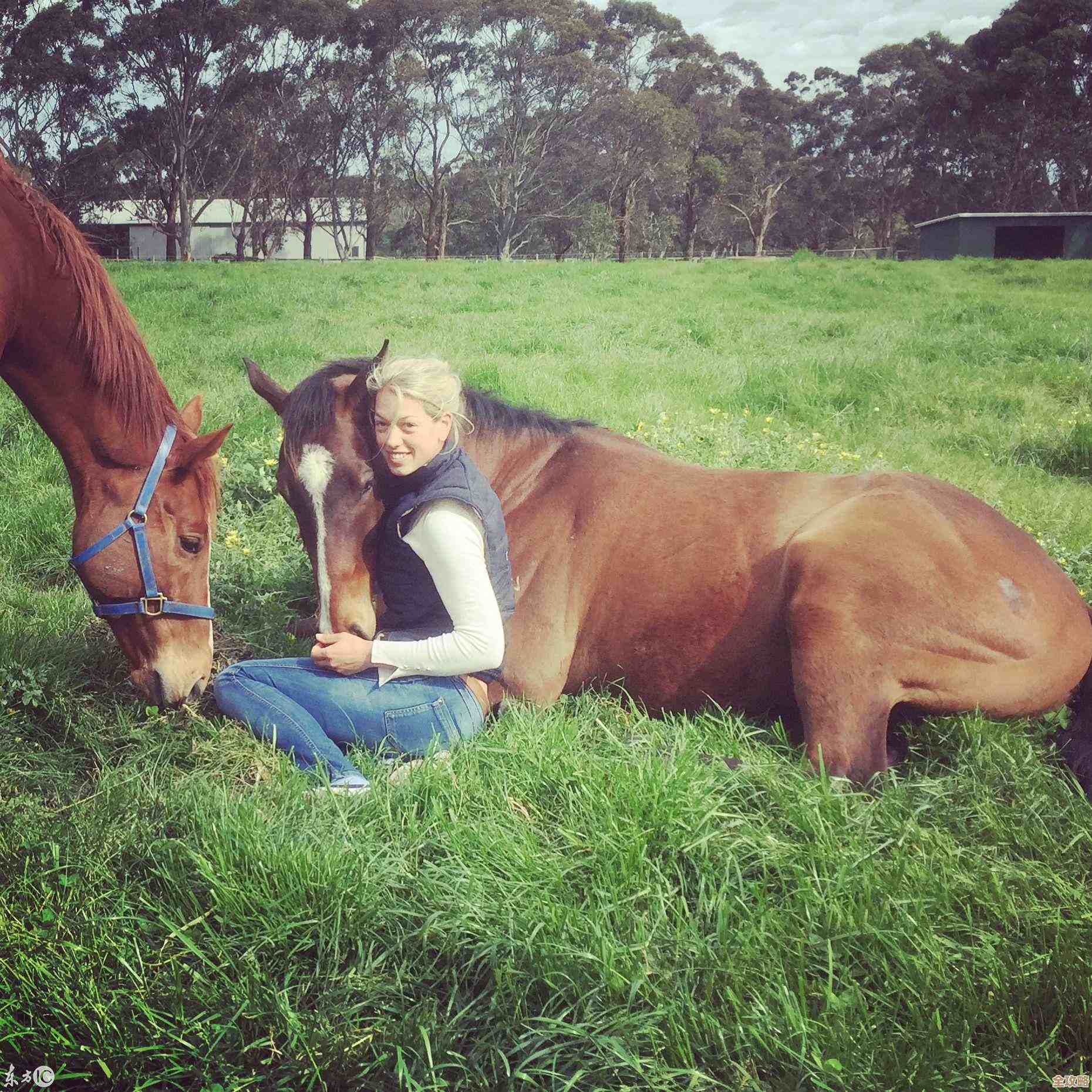 想要趣味赛马机游戏下载？看看这些热门的赛马机游戏，先凑个热闹