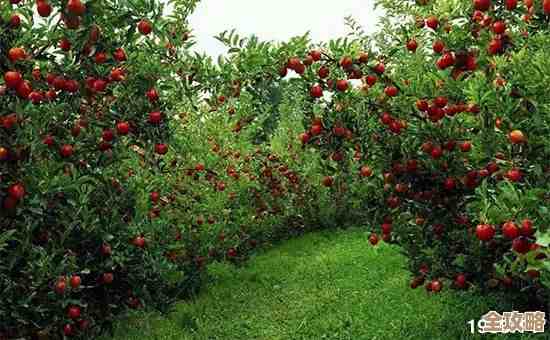 织梦森林果园种雪梨的那些实用小技巧，你可以先这么.