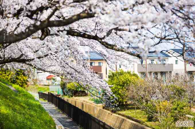 无限暖暖：花愿镇西北角奇想星怎么过…我踩过的弯路都写了