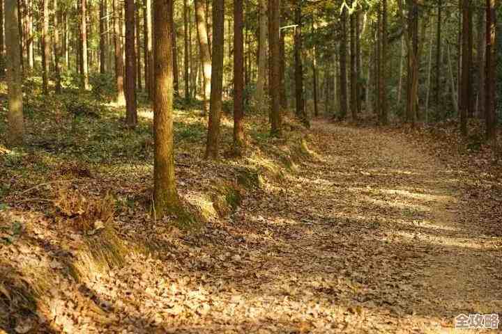 无尽梦回里道诡异仙联动活动一览，碎碎念下奖励、任务和隐藏梗吧