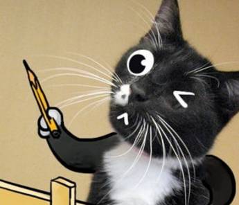 数据库里那只神秘黑猫到底是啥来头，原来它才是幕后真正的英雄啊