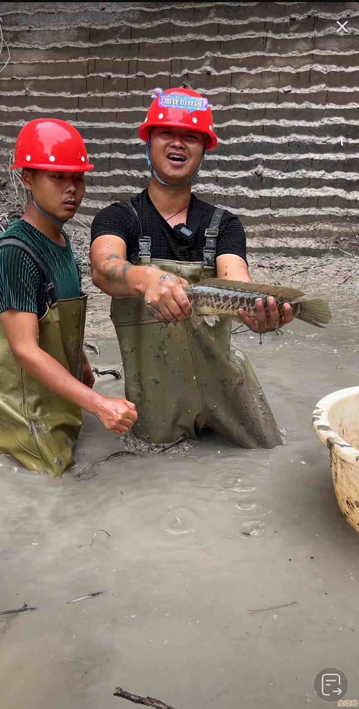潜水员戴夫带你摸银泰坦板甲鱼那些古怪时刻和捕获小心思