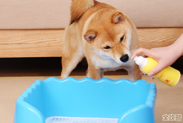 我还没全摸清宠物诱捕器用法，起源里怎么放怎么抓说不完