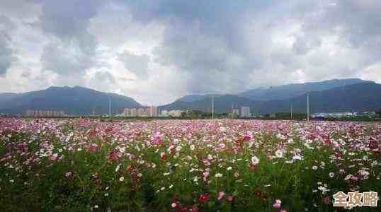 别整天追完副本：桃源记2勇者培养实战心得和坑