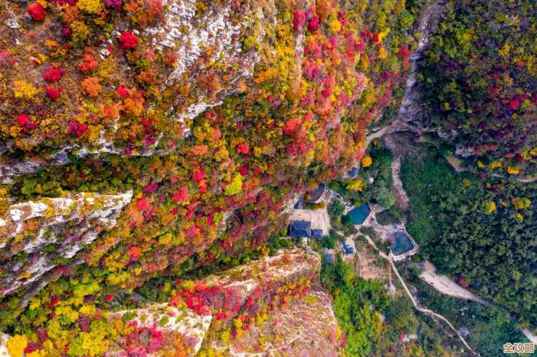 心动小镇出海钓鱼步骤拆解，说不完的隐藏触发和那些小失误