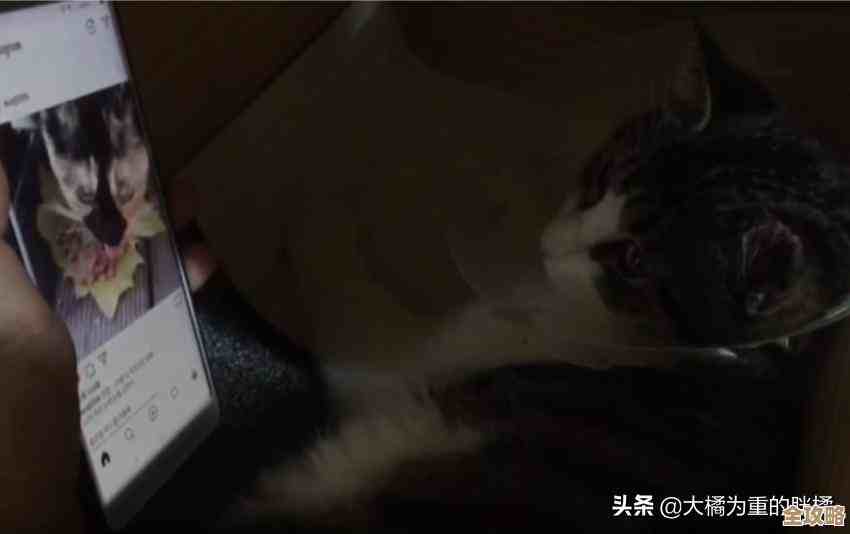 《失落城堡2》流浪骑士实战思路与烂操作避坑，讲讲我的常用打法…