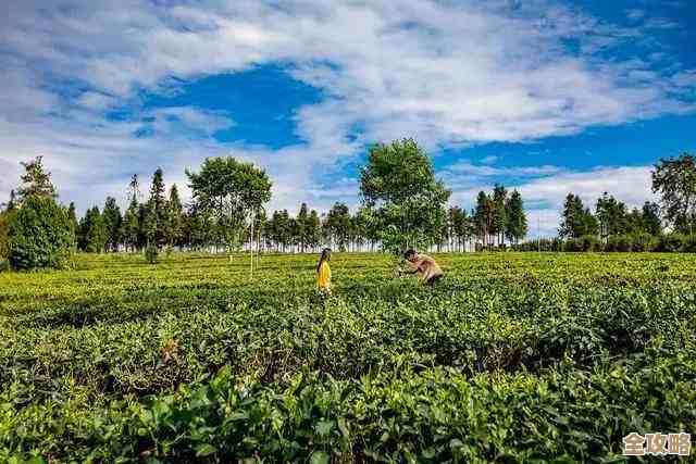 后浪云Minecraft里那个村庄到底得有什么东西才算完整和靠谱呢？