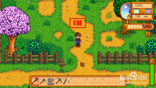 星露谷物语里说的那棵橡树到底是哪种、长什么样子怎么分辨啊…