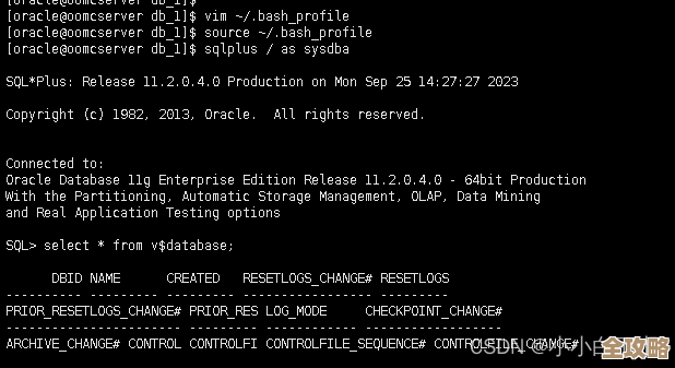 ORA-44327错误没传字符串参数，Oracle报错修复远程帮忙解决方案分享