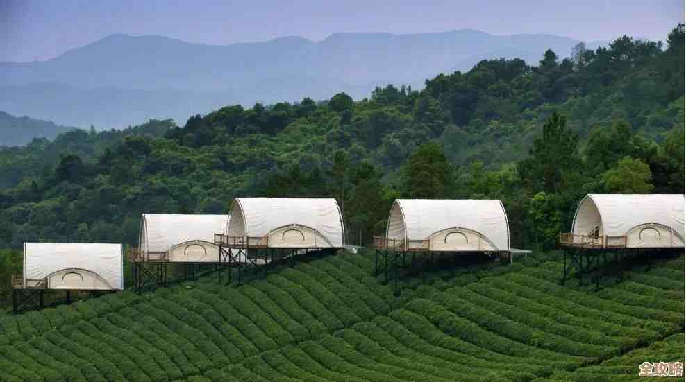 《文明7》汉朝特性，嗯…这几个点挺有意思的，玩法碎碎念