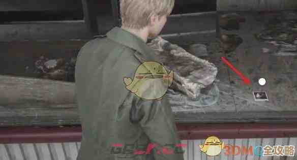 寂静岭2重制版那些诡异照片第11张名字在哪儿啦，位置细节全解析