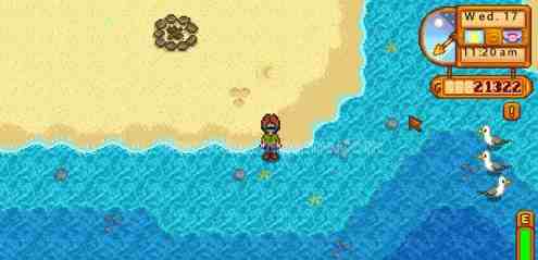 星露谷红鲷鱼钓法小白问：时间地点和鱼饵有窍门吗