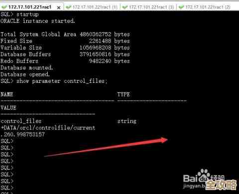 ORA-31079错误解决办法分享，远程帮你快速定位和修复问题