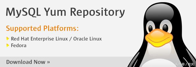 MySQL的root密码忘了也别慌，这些方法帮你轻松找回和重置
