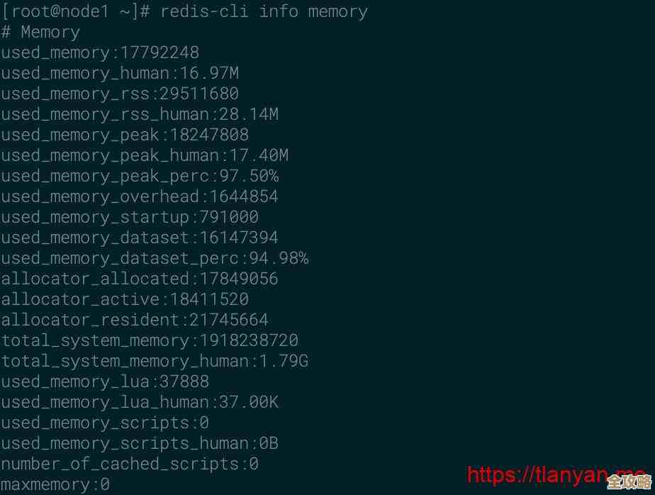 想知道Redis缓存里到底存了啥？教你几招快速查看数据的方法